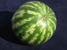 Wassermelone.jpg